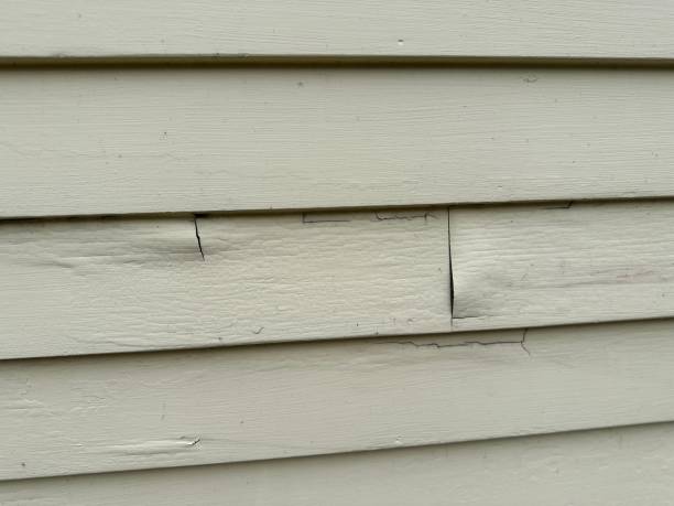 Best Stucco Siding  in Barberton, OH